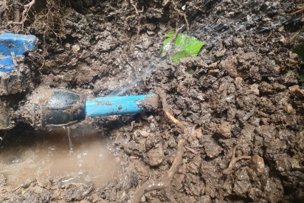Water Mains Leak Detection Windsor